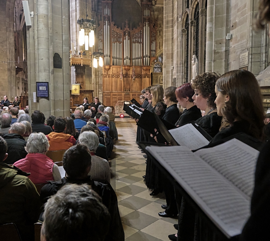 2026 Festival Programme Announcement